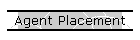 Agent Placement